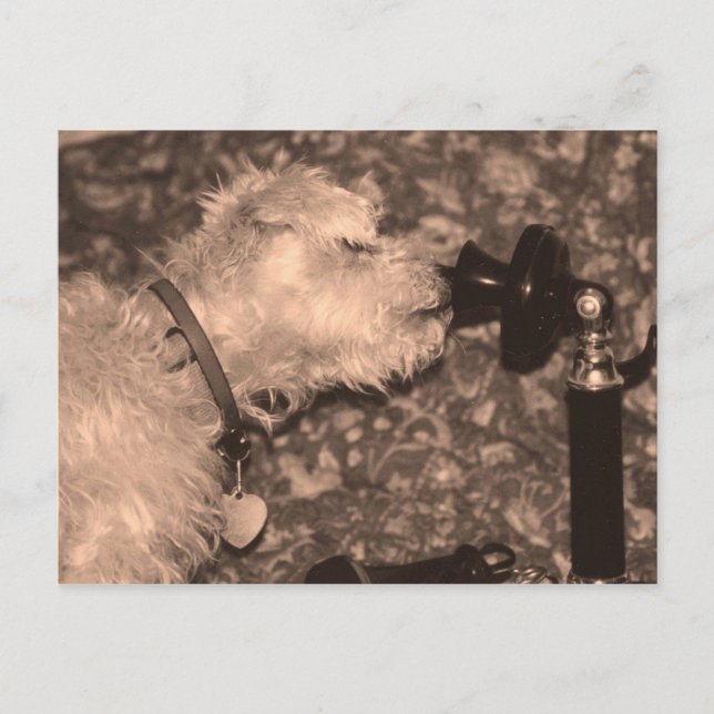 Postal Hola (Anverso)