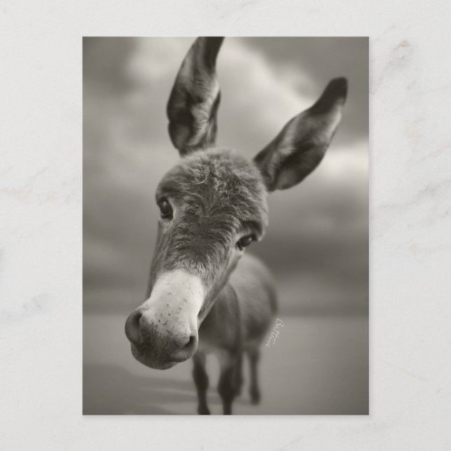 Postal Hola. (Anverso)