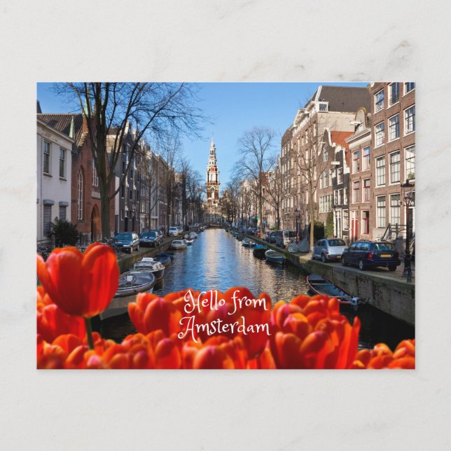 Postal Hola a Amsterdam Spring Red Tulips (Anverso)