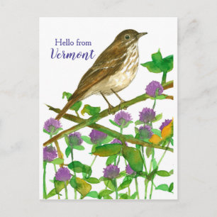 Postal Hola a Vermont Hermit Thrush Purple Clover