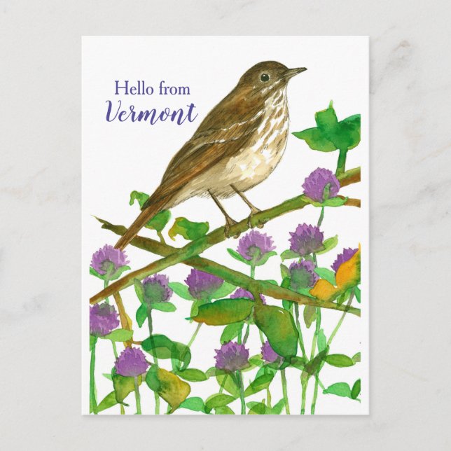 Postal Hola a Vermont Hermit Thrush Purple Clover (Anverso)