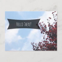 "Hola" Bonito Cielo Azul Hojas Rojas