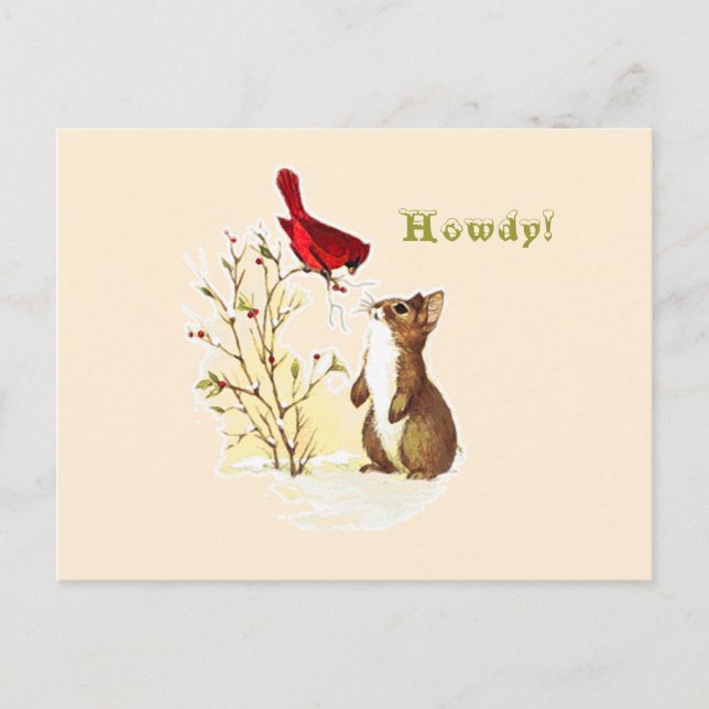 Postal Hola Bunny Postcard (Anverso)