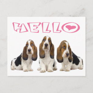 Postal Hola Cachorro Basset Hound Corazón Rosa