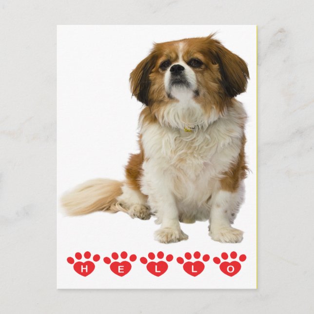 Postal Hola Cachorro Cavalier King Charles Rosa (Anverso)