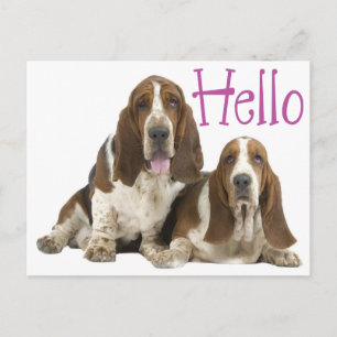 Postal Hola Cachorro De Sabueso De Basset Púrpura