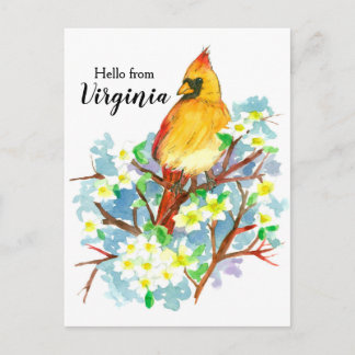 Postal Hola, Cardenal de Virginia Dogwood