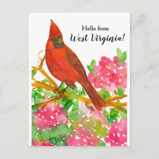 Postal Hola, Cardenal del Norte de Virginia Occidental