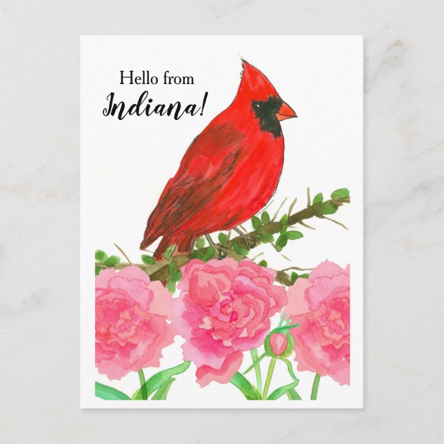 Postal Hola, Cardenal Indiana Red Male Bird (Anverso)