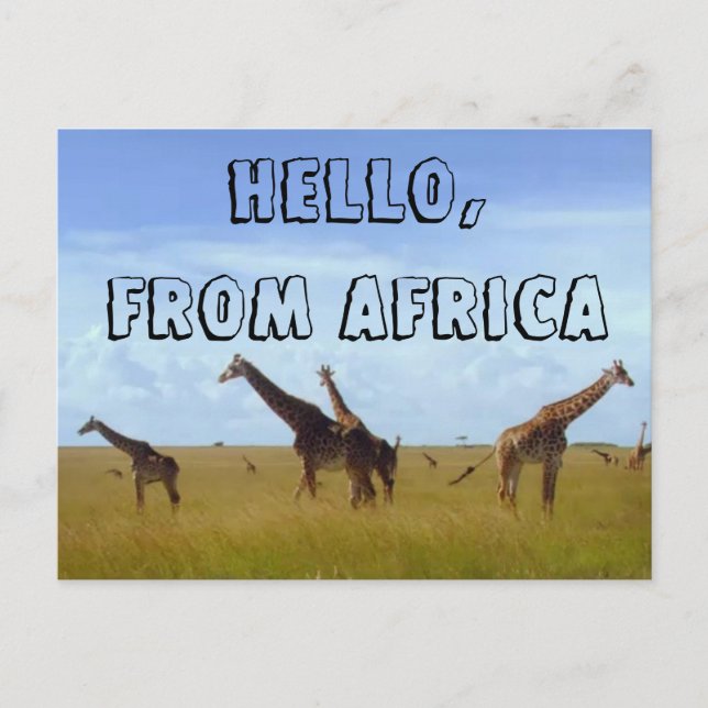 Postal Hola con amor desde África Postcard Hakuna Matata (Anverso)