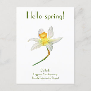Postal Hola daffodil primavera con significado Postcard