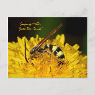 Postal Hola De Bee On Yellow Dandelion Flower