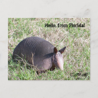 Postal ¡Hola, de Florida!