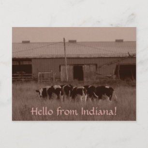 Postal ¡Hola de Indiana!