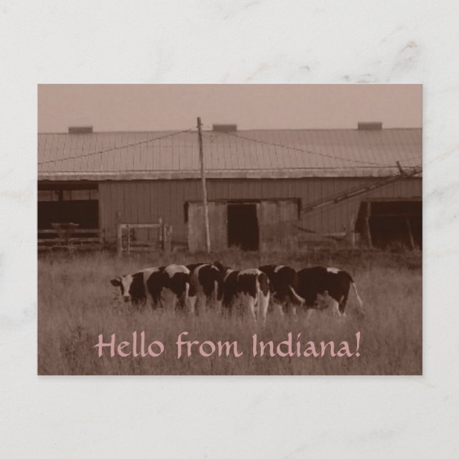Postal ¡Hola de Indiana! (Anverso)