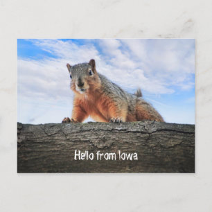 Postal Hola De Iowa Postcard