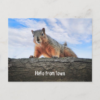 Postal Hola De Iowa Postcard