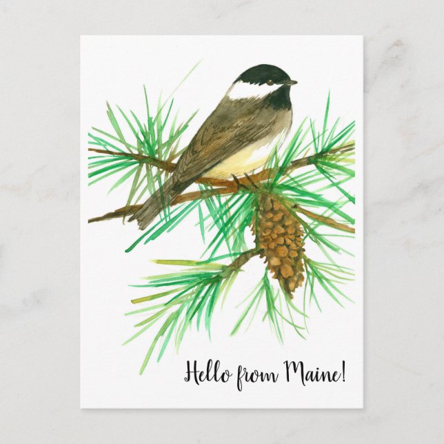 Postal Hola de Maine Black Capped Chickadee Bird (Anverso)