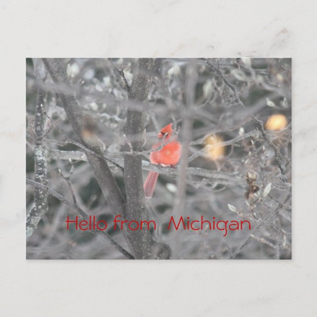 Postal Hola de Michigan (Anverso)