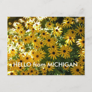 POSTAL HOLA DE MICHIGAN POST CARD POSTCARD