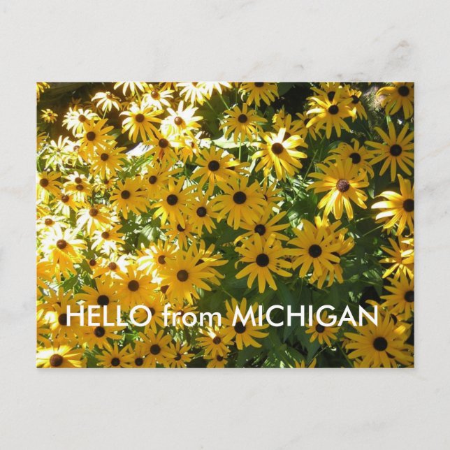 POSTAL HOLA DE MICHIGAN POST CARD POSTCARD (Anverso)
