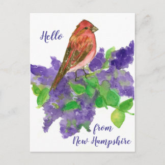 Postal Hola de New Hampshire Purple Finch