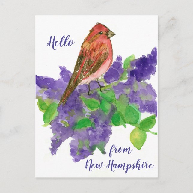 Postal Hola de New Hampshire Purple Finch (Anverso)