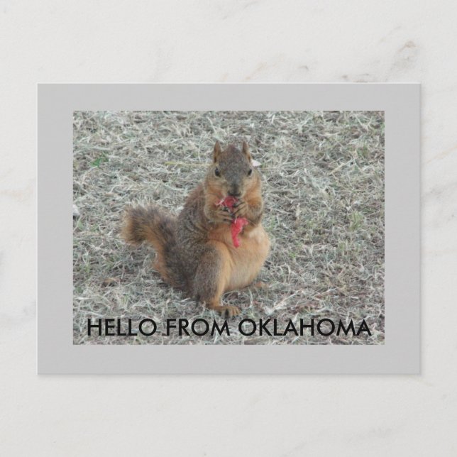 POSTAL HOLA DE OKLAHOMA (Anverso)
