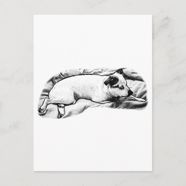 Postal Hola de vacaciones de Blanket y Buddy (Anverso)