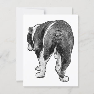 Postal Hola de vacaciones de un Bulldog especulado