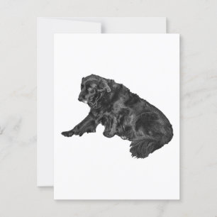Postal Hola de vacaciones del perro salón