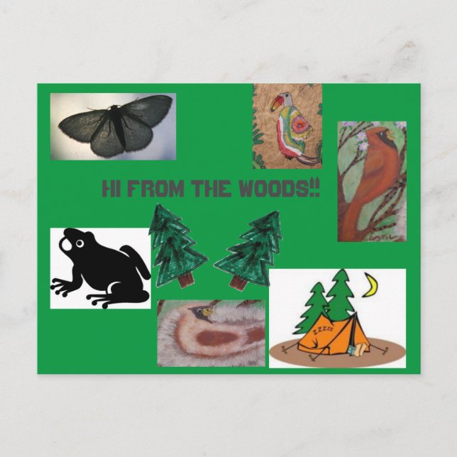 Postal Hola desde el campamento forestal (Anverso)