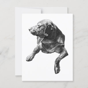 Postal Hola desde Evergreen Corners