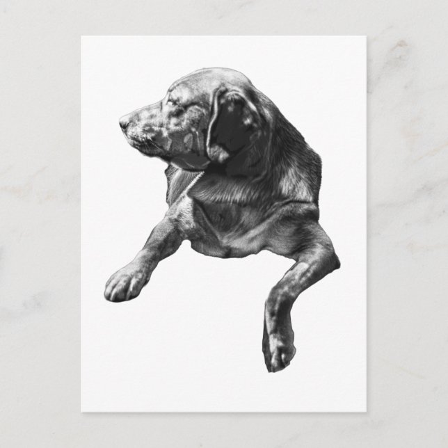 Postal Hola desde Evergreen Corners (Anverso)