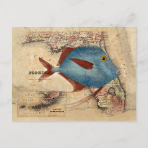 Postal Hola desde Florida