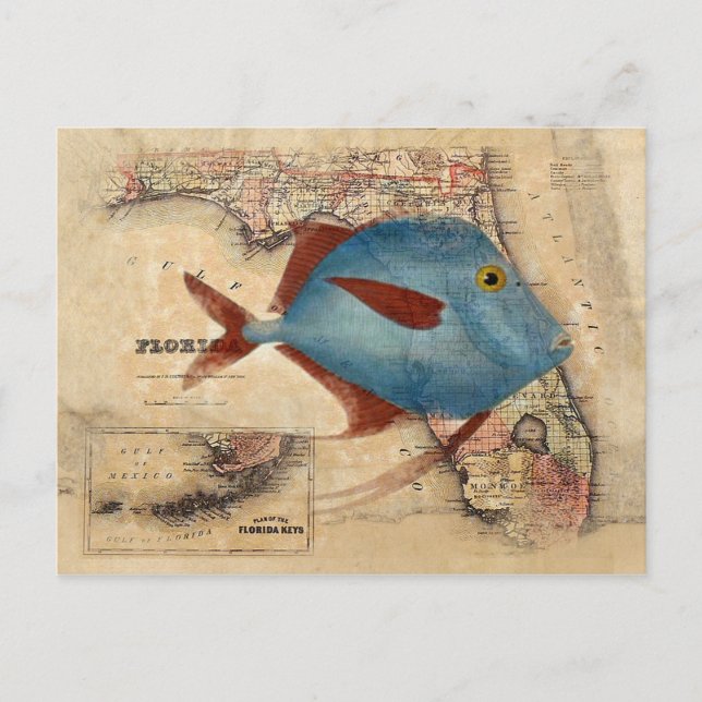 Postal Hola desde Florida (Anverso)