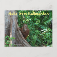 Hola desde Kalimantan Borneo Indonesia