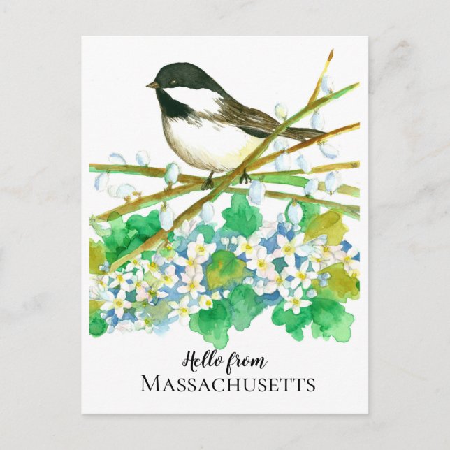 Postal Hola desde Massachusetts Chickadee Mayflower (Anverso)