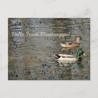 Postal ¡Hola Desde Mississippi!