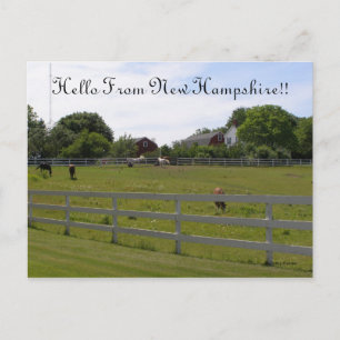 Postal Hola desde New Hampshire