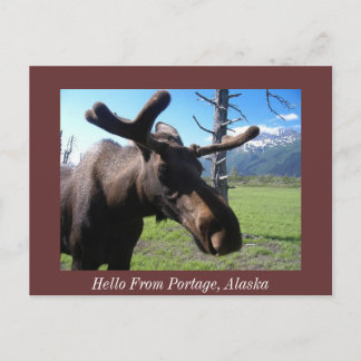 Postal Hola Desde Portage, Alaska, Hola Desde Portage,...