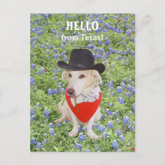 Postal ¡Hola desde Texas!