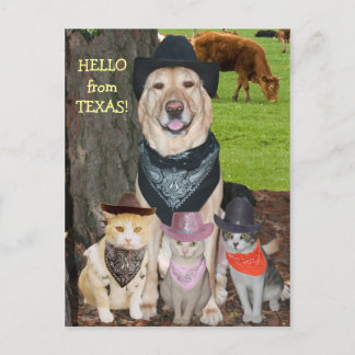Postal ¡Hola desde Texas!