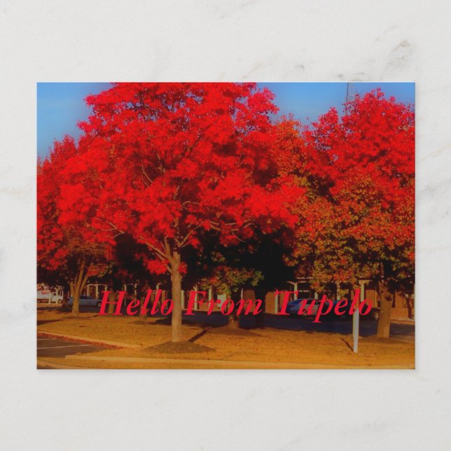 Postal Hola desde Tupelo (Anverso)