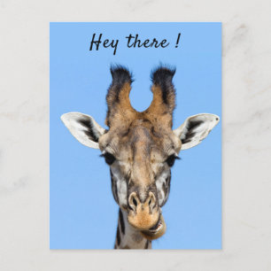 Postal Hola, divertida foto de Giraffe con texto