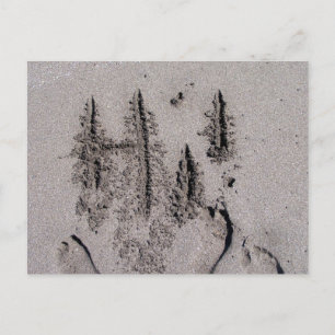 Postal ¡Hola! Escrito en la arena de la playa de Florida 