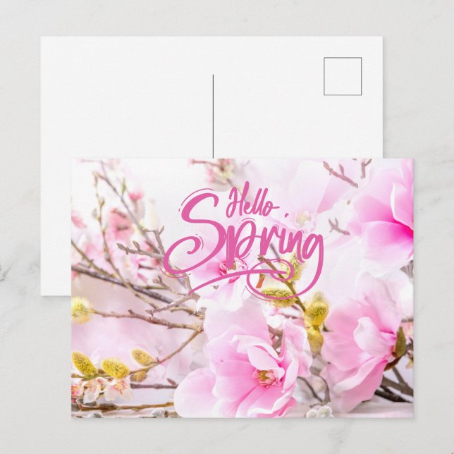 Postal Hola flores de magnolia rosadas de primavera (Anverso / Reverso)