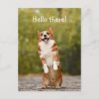 Postal ¡Hola! / Gracioso Corgi