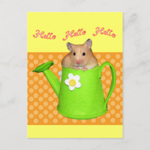 Postal Hola hamster