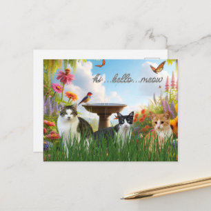 Postal Hola Hola Meow / Gatos en el animal dulce del jard